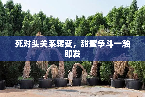 死对头关系转变，甜蜜争斗一触即发