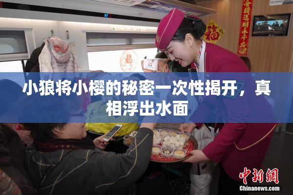小狼将小樱的秘密一次性揭开，真相浮出水面