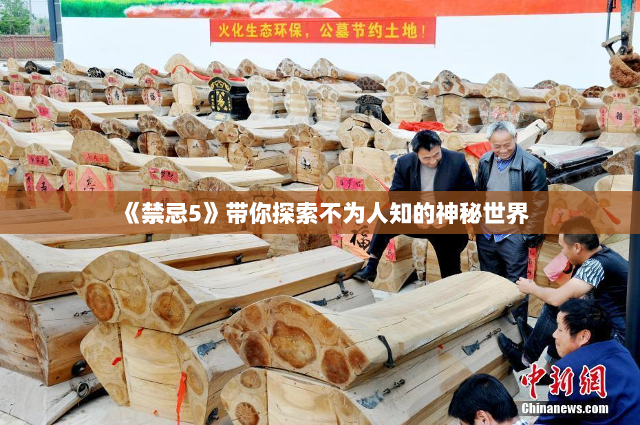《禁忌5》带你探索不为人知的神秘世界