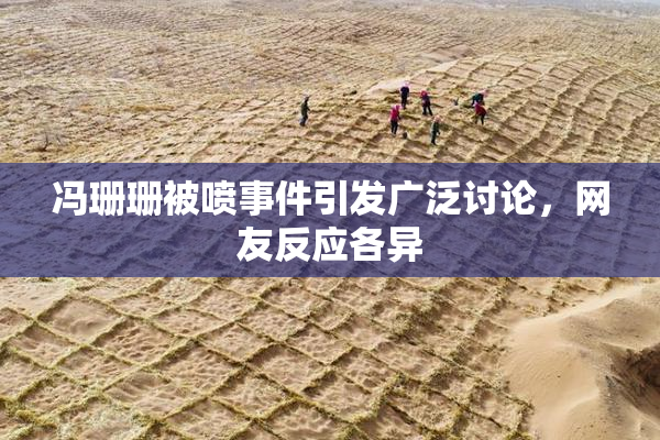 冯珊珊被喷事件引发广泛讨论，网友反应各异