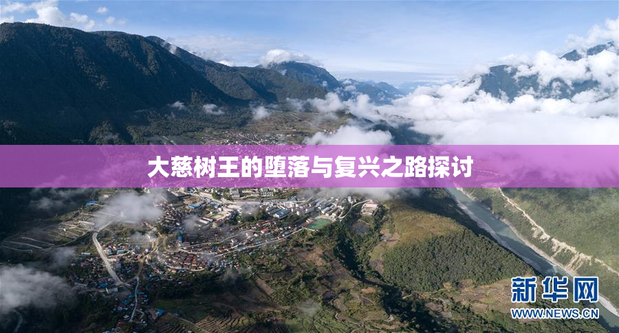 大慈树王的堕落与复兴之路探讨