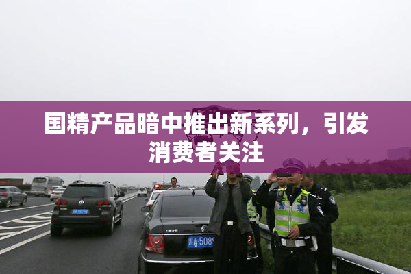 国精产品暗中推出新系列，引发消费者关注