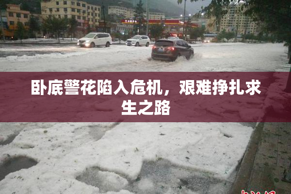 卧底警花陷入危机，艰难挣扎求生之路
