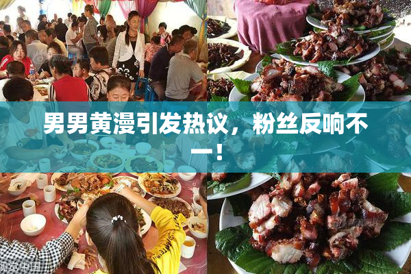 男男黄漫引发热议，粉丝反响不一！
