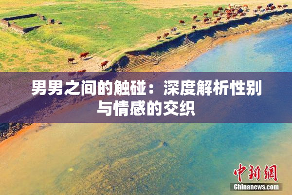 男男之间的触碰：深度解析性别与情感的交织