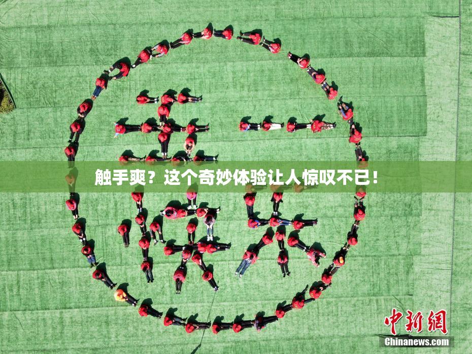 触手爽？这个奇妙体验让人惊叹不已！