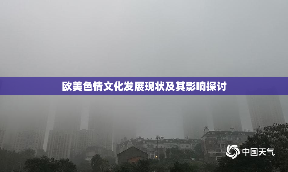 欧美色情文化发展现状及其影响探讨