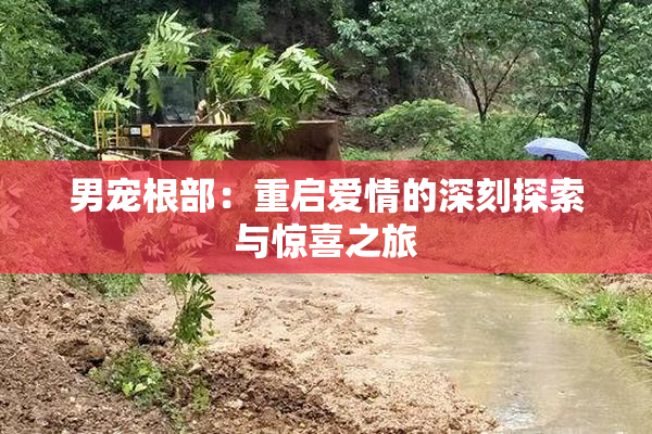 男宠根部：重启爱情的深刻探索与惊喜之旅