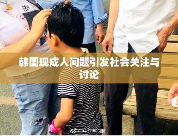 韩国现成人问题引发社会关注与讨论
