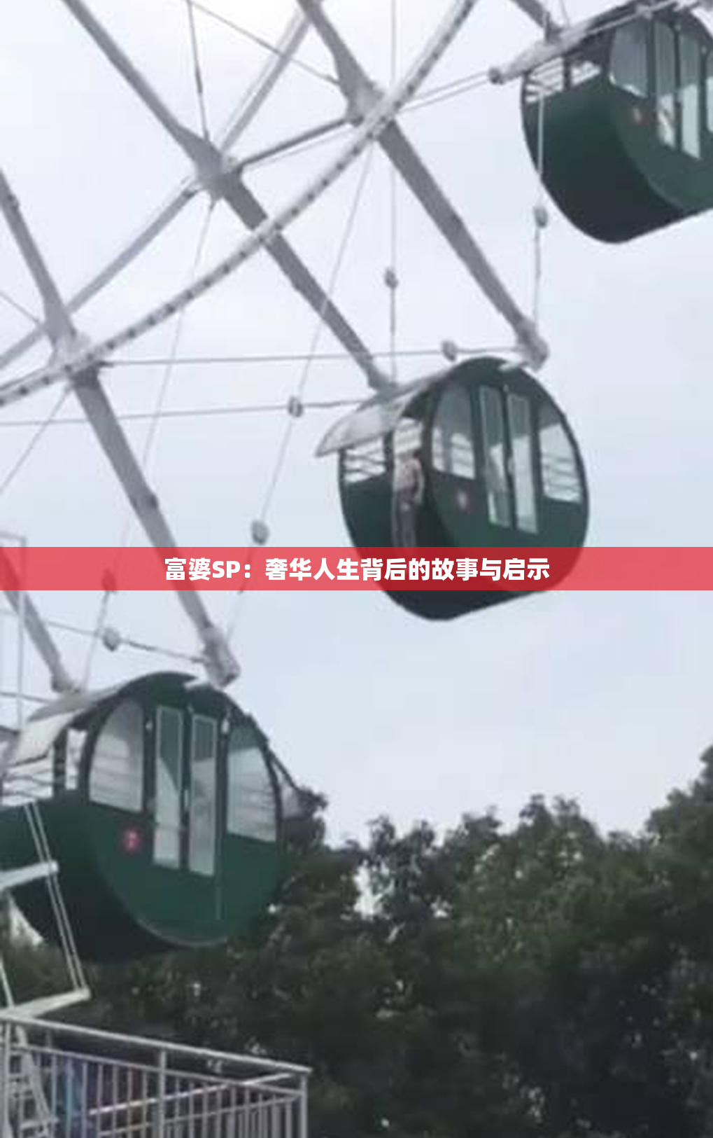 富婆SP：奢华人生背后的故事与启示