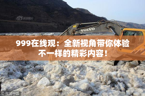 999在线观：全新视角带你体验不一样的精彩内容！