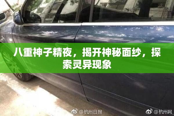八重神子精夜，揭开神秘面纱，探索灵异现象