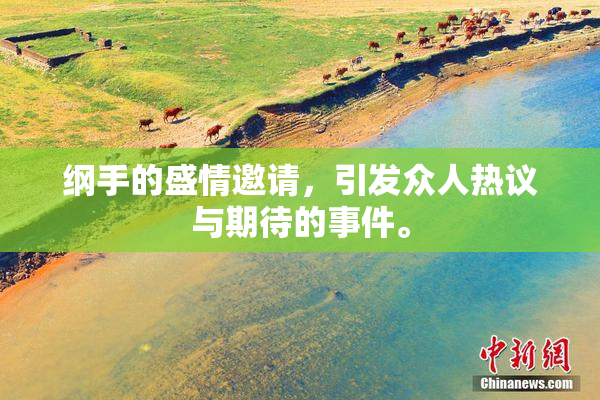 纲手的盛情邀请，引发众人热议与期待的事件。