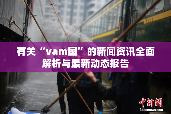 有关“vam国”的新闻资讯全面解析与最新动态报告