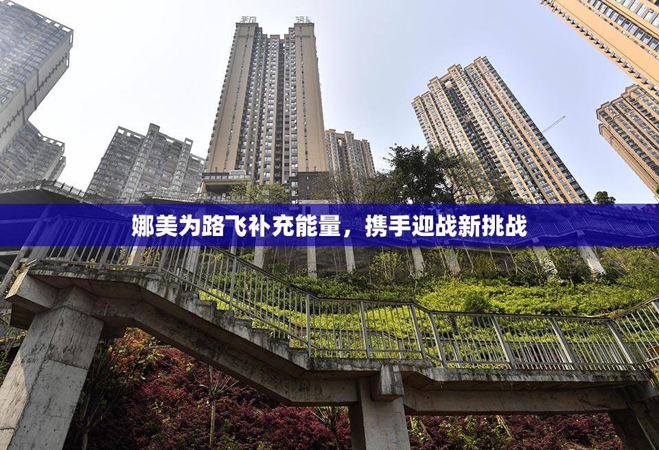 娜美为路飞补充能量，携手迎战新挑战