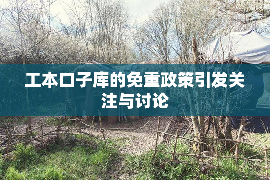 工本口子库的免重政策引发关注与讨论