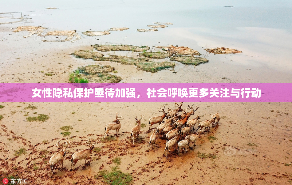 女性隐私保护亟待加强，社会呼唤更多关注与行动