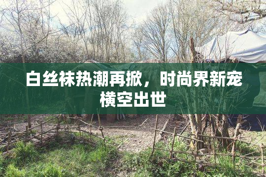 白丝袜热潮再掀，时尚界新宠横空出世