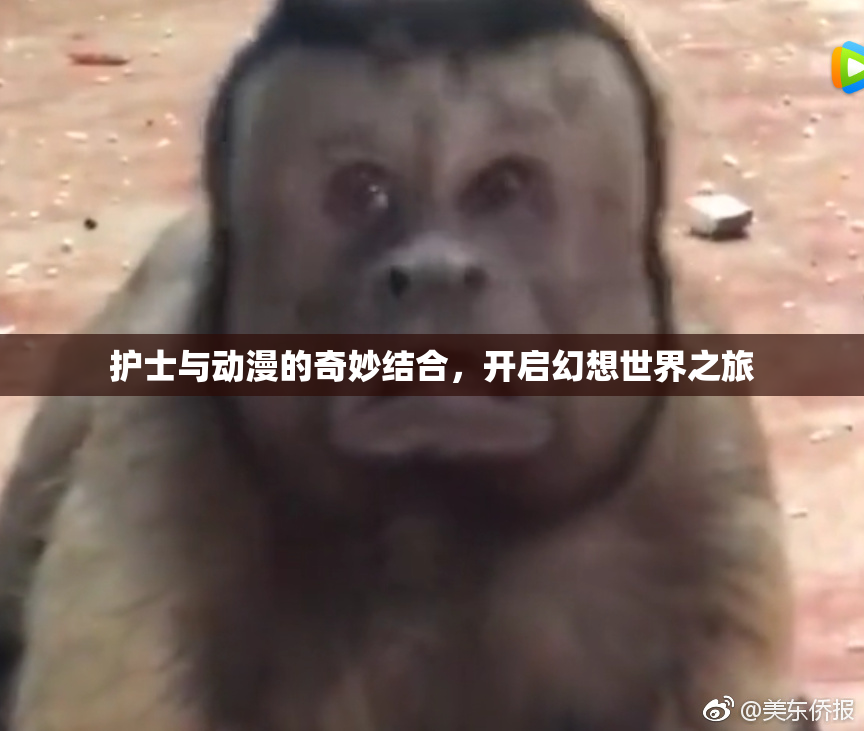 护士与动漫的奇妙结合，开启幻想世界之旅