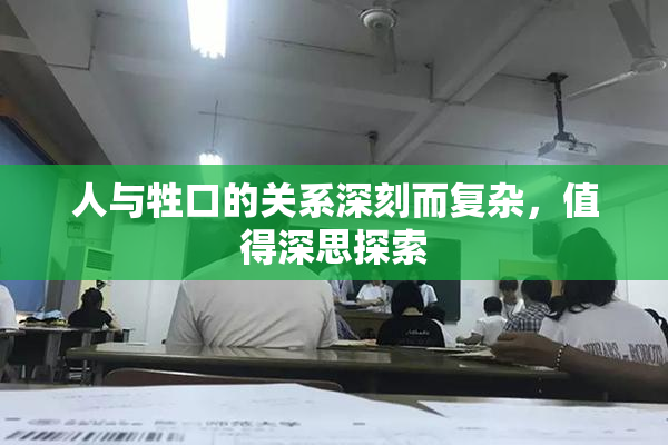 人与牲口的关系深刻而复杂，值得深思探索