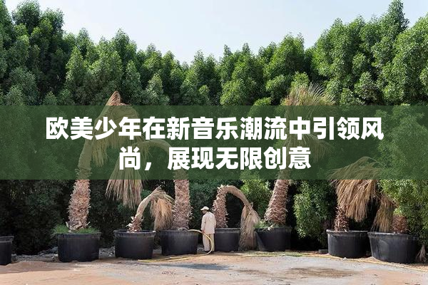 欧美少年在新音乐潮流中引领风尚，展现无限创意