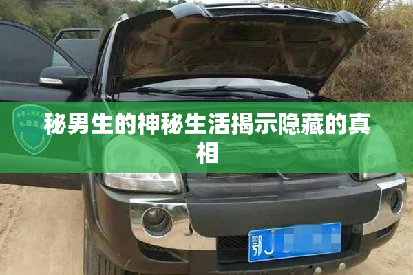 秘男生的神秘生活揭示隐藏的真相