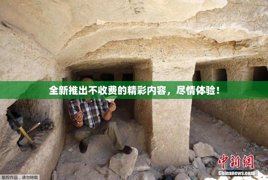全新推出不收费的精彩内容，尽情体验！