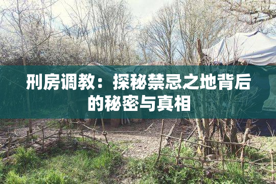 刑房调教：探秘禁忌之地背后的秘密与真相