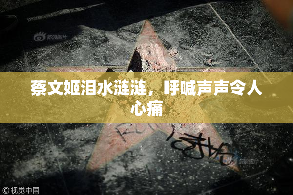 蔡文姬泪水涟涟，呼喊声声令人心痛