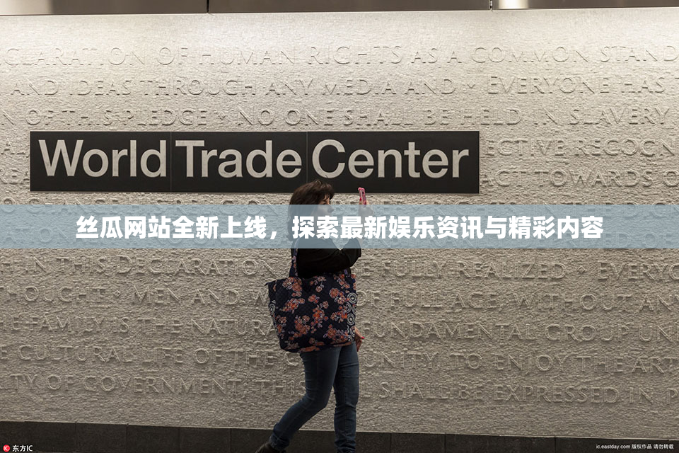 丝瓜网站全新上线，探索最新娱乐资讯与精彩内容