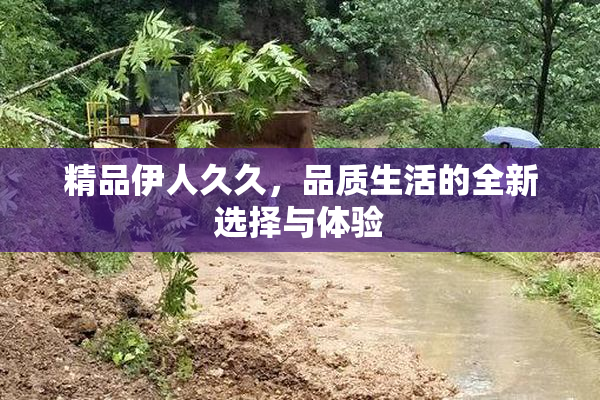 精品伊人久久，品质生活的全新选择与体验
