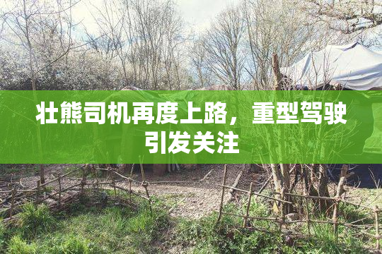 壮熊司机再度上路，重型驾驶引发关注