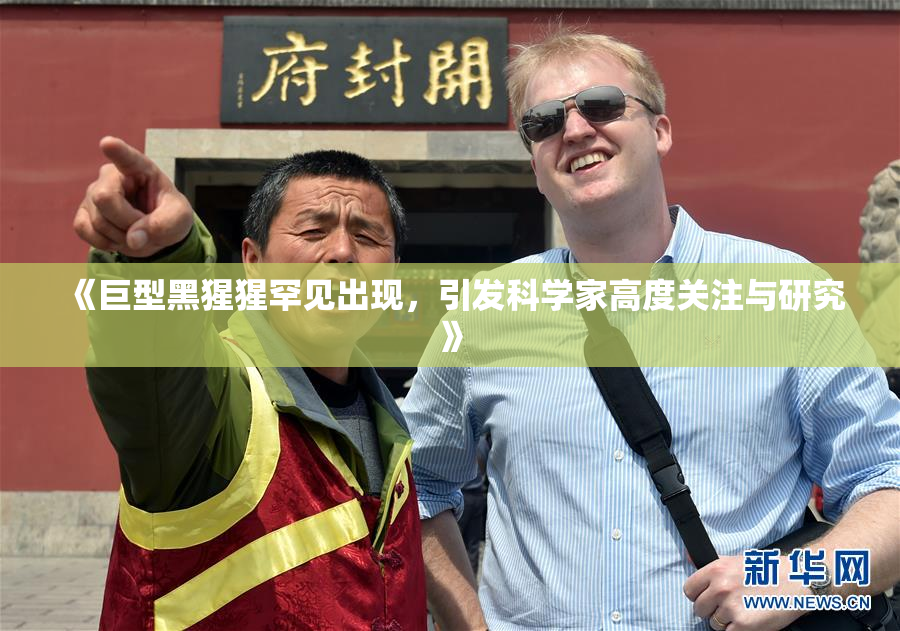 《巨型黑猩猩罕见出现，引发科学家高度关注与研究》