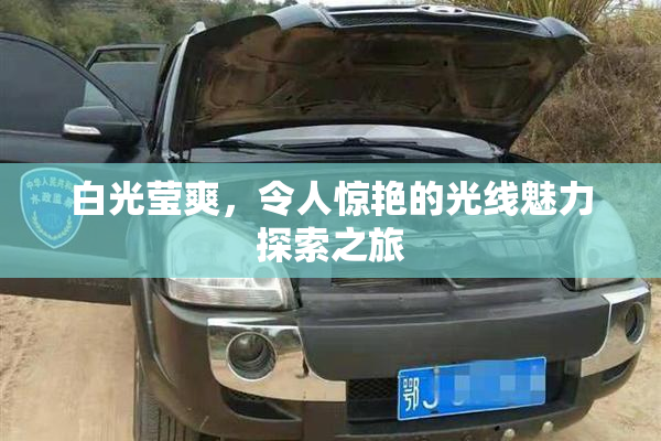 白光莹爽，令人惊艳的光线魅力探索之旅