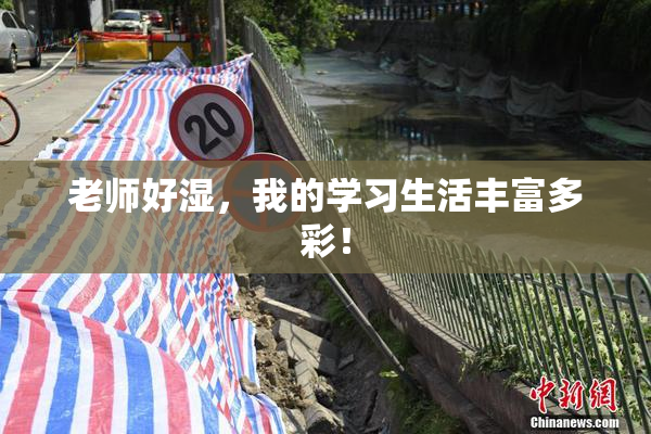 老师好湿，我的学习生活丰富多彩！