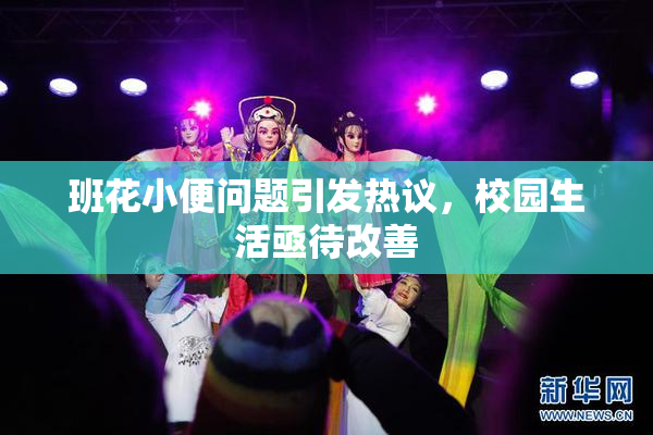 班花小便问题引发热议，校园生活亟待改善