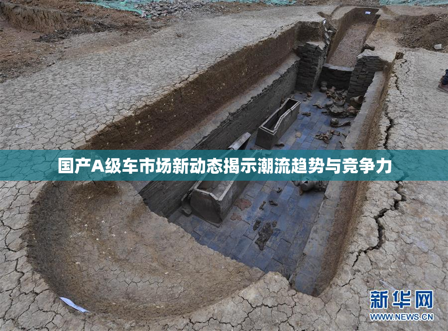 国产A级车市场新动态揭示潮流趋势与竞争力