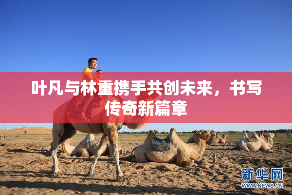 叶凡与林重携手共创未来，书写传奇新篇章