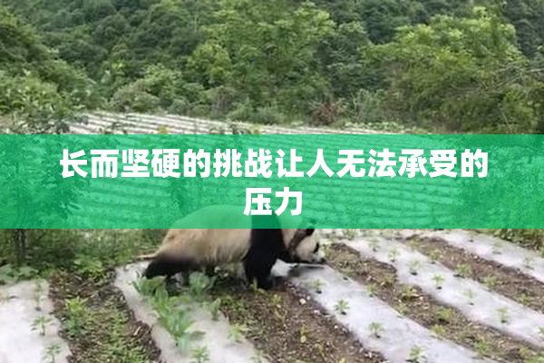 长而坚硬的挑战让人无法承受的压力