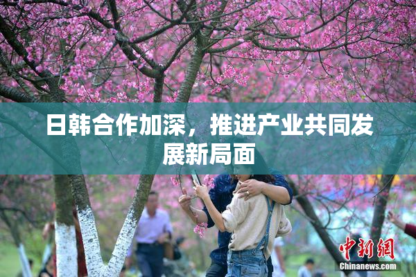 日韩合作加深，推进产业共同发展新局面