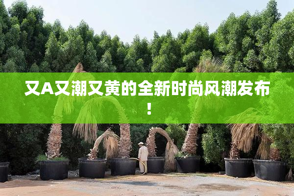 又A又潮又黄的全新时尚风潮发布！