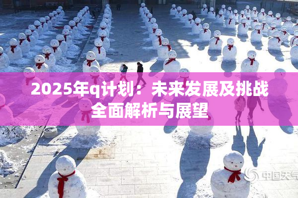 2025年q计划：未来发展及挑战全面解析与展望