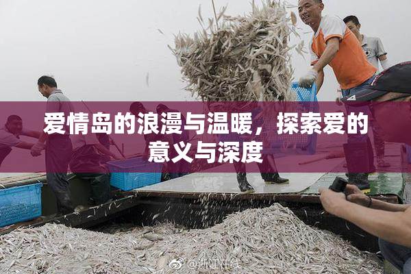 爱情岛的浪漫与温暖，探索爱的意义与深度