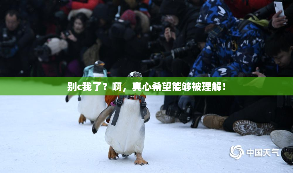别c我了？啊，真心希望能够被理解！