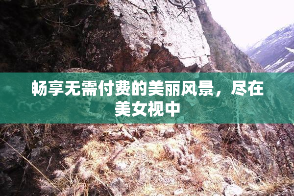 畅享无需付费的美丽风景，尽在美女视中