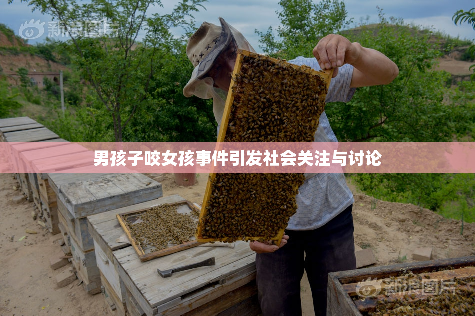 男孩子咬女孩事件引发社会关注与讨论