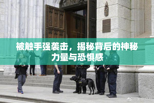 被触手强袭击，揭秘背后的神秘力量与恐惧感