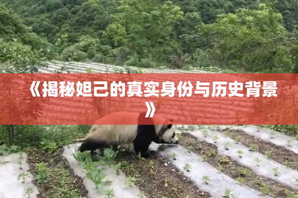 《揭秘妲己的真实身份与历史背景》