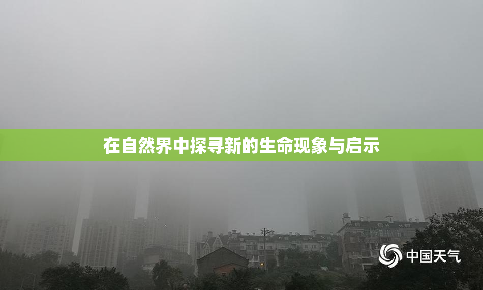 在自然界中探寻新的生命现象与启示