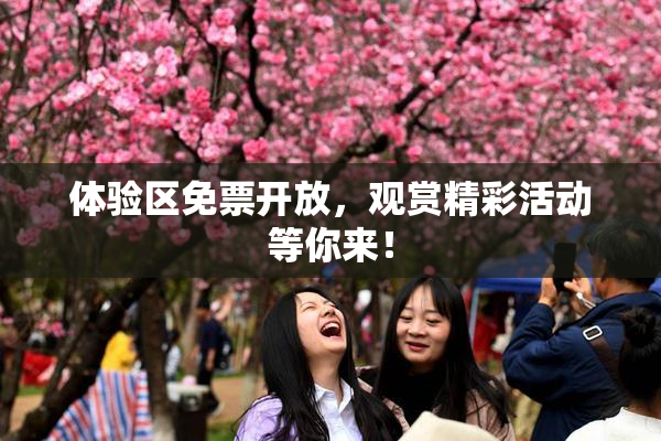 体验区免票开放，观赏精彩活动等你来！